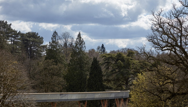 Treetop Walkway at the National Arboretum in Westonbirt
